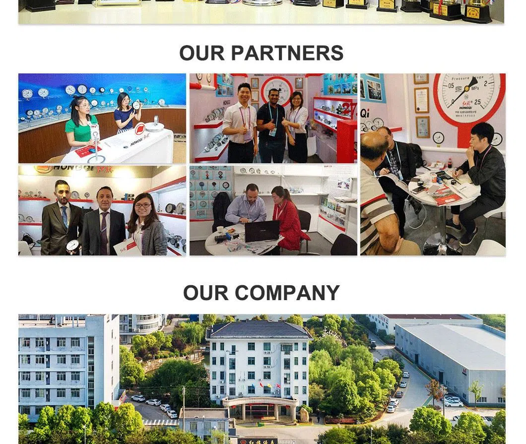 China Zhejiang Hongqi Instrument Co., LTD
