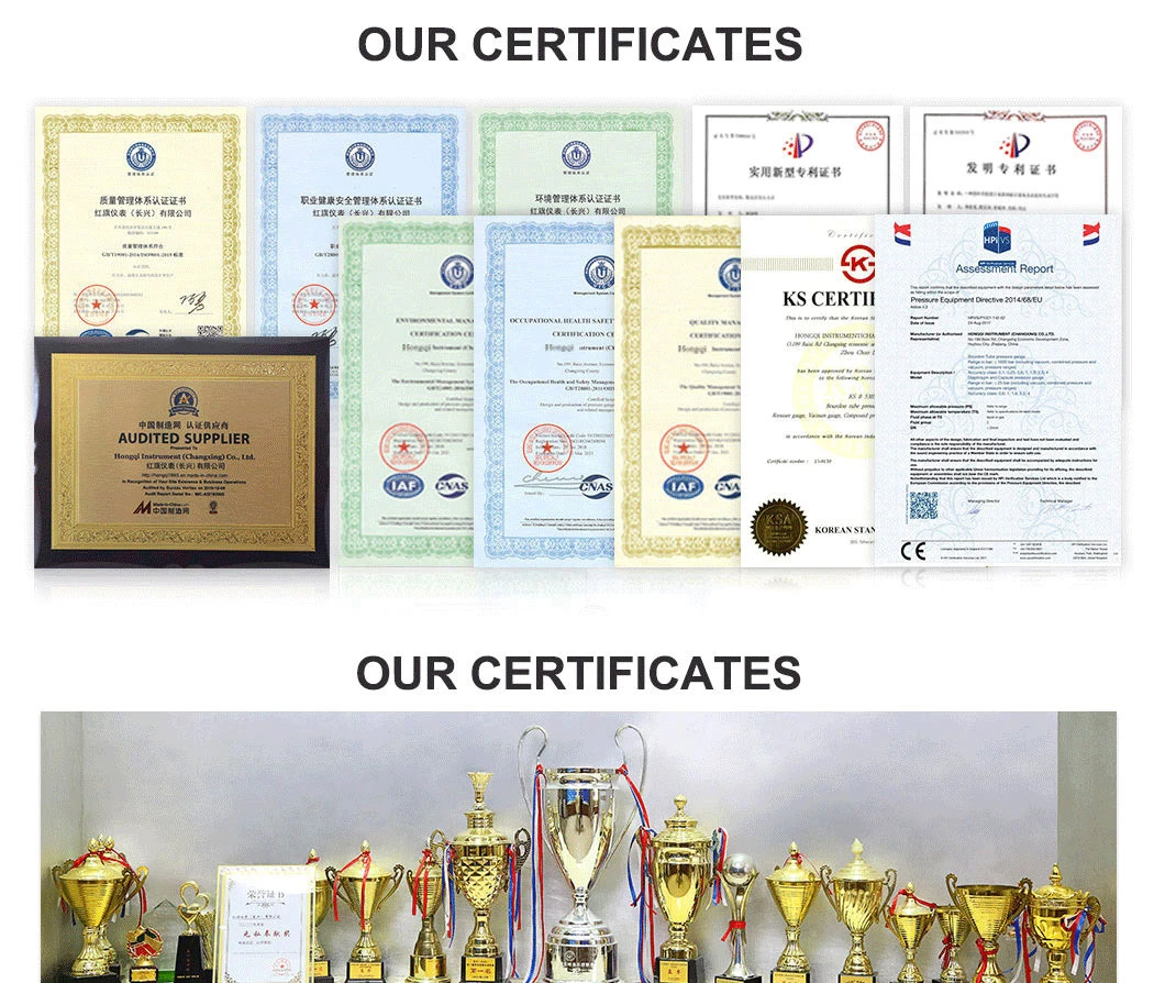 China Hongqi Instrument Co. LTD-1