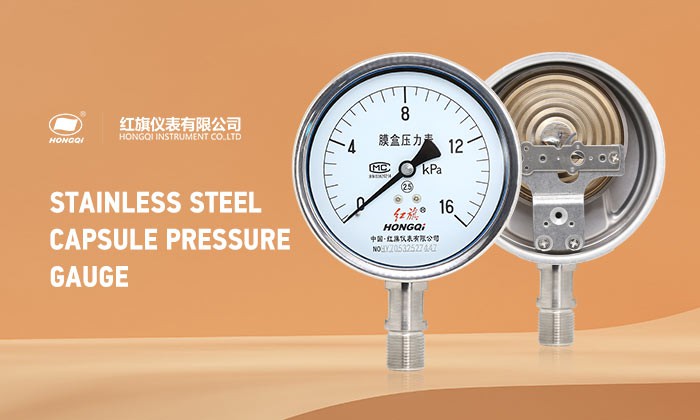 Stainless-steel-Capsule-pressure-gauge-1 Stainless-steel-Capsule-pressure-gauge-1