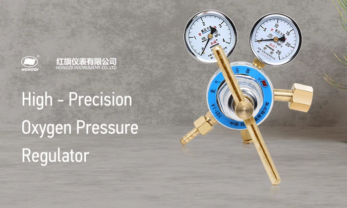 Hongqi-Yqy---1A-Medical---Grade-High---Precision-Oxygen-Pressure-Regulator Hongqi-Yqy---1A-Medical---Grade-High---Precision-Oxygen-Pressure-Regulator
