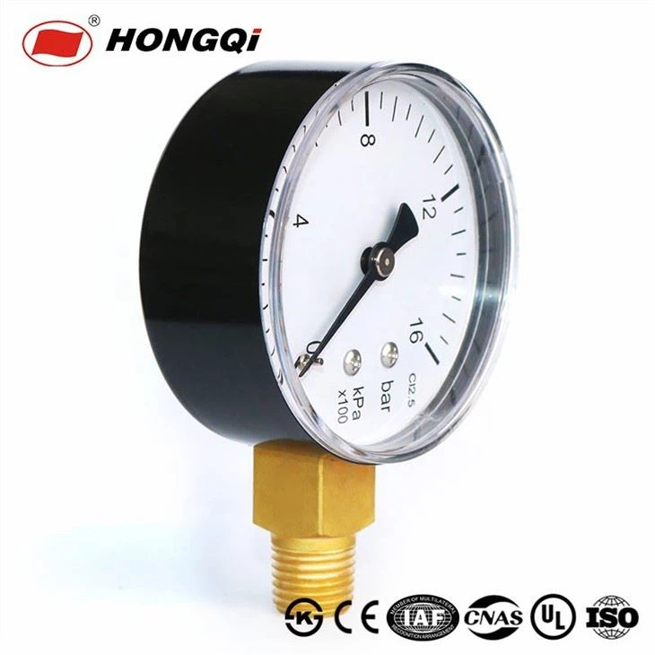 Transparent pressure gauge with plastic case