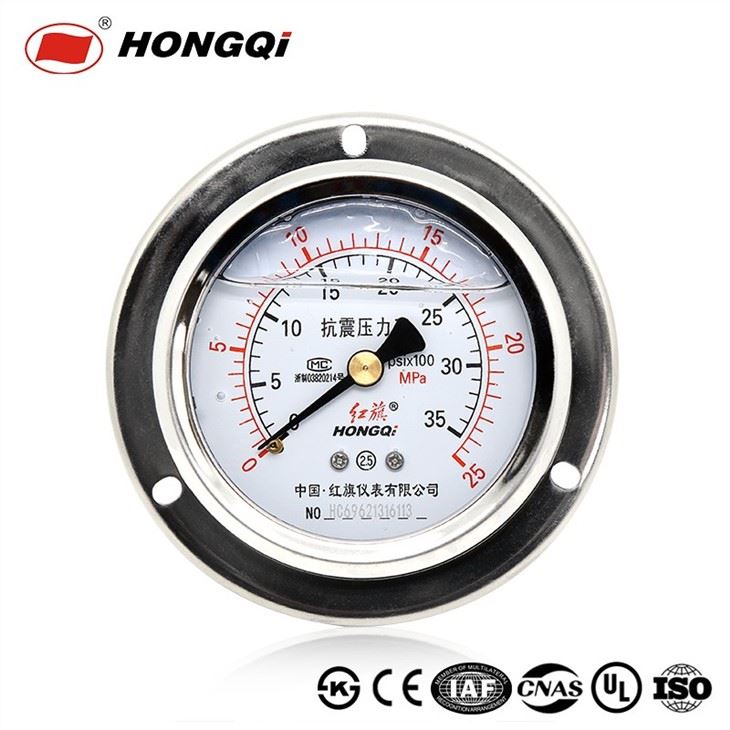 Back Mount With Flange Shockproof Liquid Filled Pressure Gauge