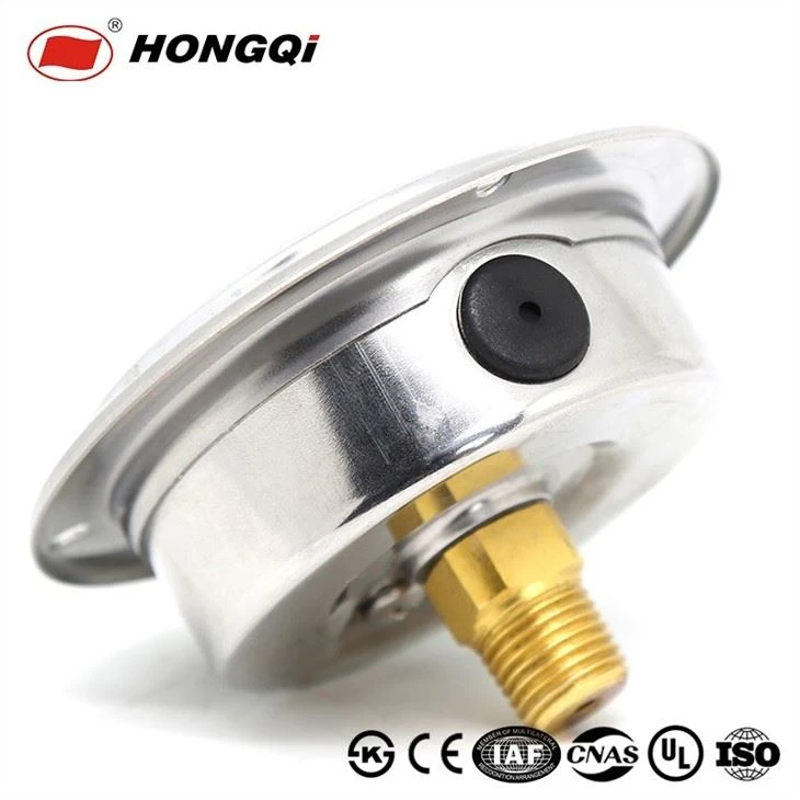 Back Mount With Flange Shockproof Liquid Filled Pressure Gauge