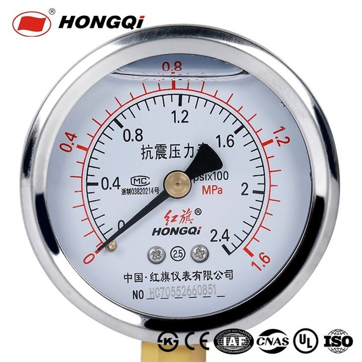 Shake Resistance Pressure Gauge With All Stainless Steel
