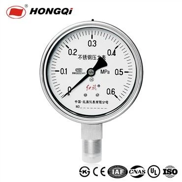 Hongqi YTQ-100BF Seguridad de alta calidad, Bourbon Ss316, Rosca M20*1.5/G1/2, Manómetro