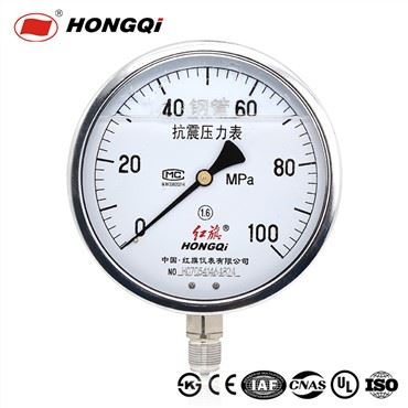 Esfera Hongqi150mm (6"), 1/2 "NPT (M), conexión inferior, interiores completos de acero inoxidable, hecho en China