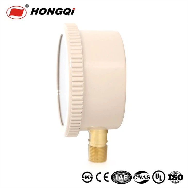 YE-100 Positive And Negative Pressure Capsule Pressure Gauge