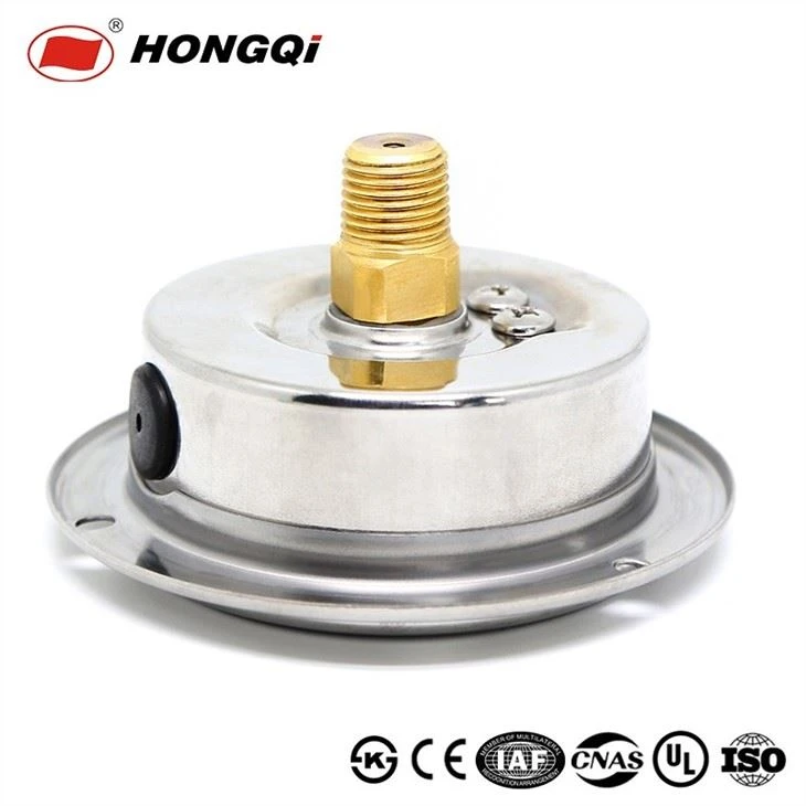 YTN-60ZT Series Back Mount With Flange Pressure Gauge